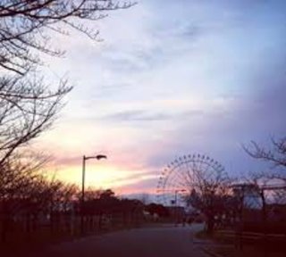 音楽ランキング【オリコン】