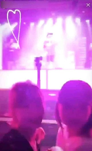 女性モデルがライブ中に自撮り  ブルーノ・マーズが客席にタオル投げつけ