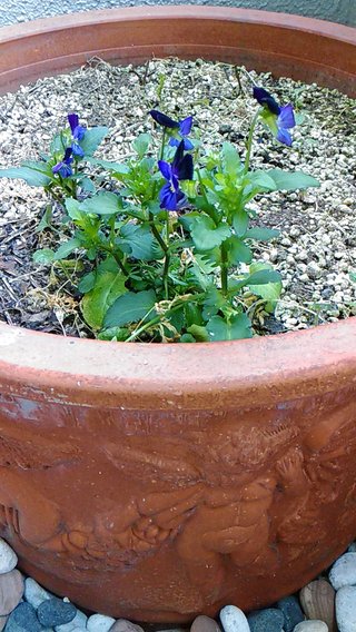 【総合】うつ病【ｳﾂ、ﾊﾟﾆ他、心療内科系】