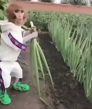 思わず二度見した物（人）ある？