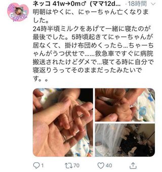 生後2週間の赤ちゃん寝返りで死亡