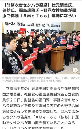 みんなは辻元清美、蓮舫、福島瑞穂のＭｅＴｏｏ軍団をどんな気持ちで見てるの？