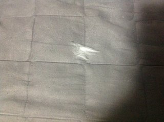 猫について何でもどうぞ【ねこ総合】