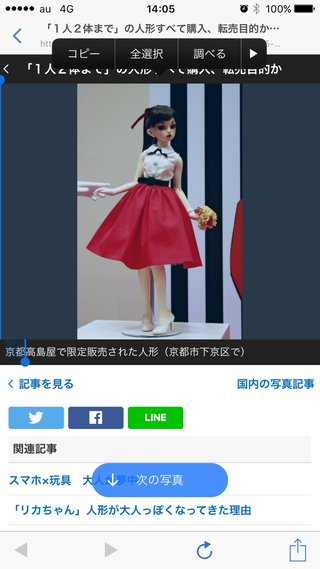 100体限定 1人2体までの人形 1人で買占め 転売目的か？