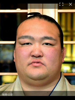 相撲みる人少ないのかな