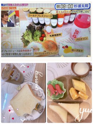 杉浦太陽って軽度知的障害？