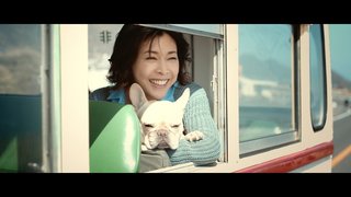草なぎ愛犬・クルミちゃんがCMデビュー　竹内結子と共演