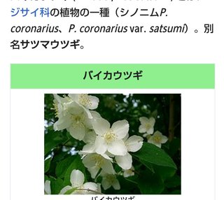 海老蔵～何でもあり