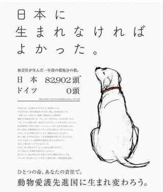 【悲報】動物愛護団体のポスター「日本に生まれなければよかった」が炎上してしまう