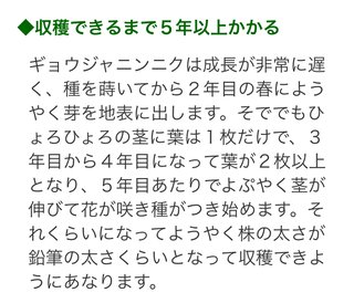 ギョウジャニンニクの説明