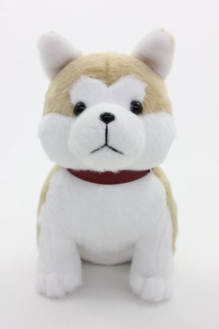 ザギトワ、秋田犬「マサル」は家で飼わない　世話はスケート連盟が