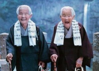 日テレ【今夜くらべてみました】