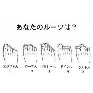 集計・あなたの足のタイプはどれ？