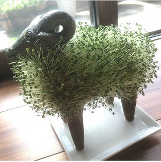 御宅に送っていい？