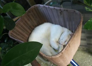 松居一代  IDアリ 多少のトピずれ・自分語りOK・人生いろいろ