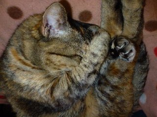 松居一代  IDアリ 多少のトピずれ・自分語りOK・人生いろいろ