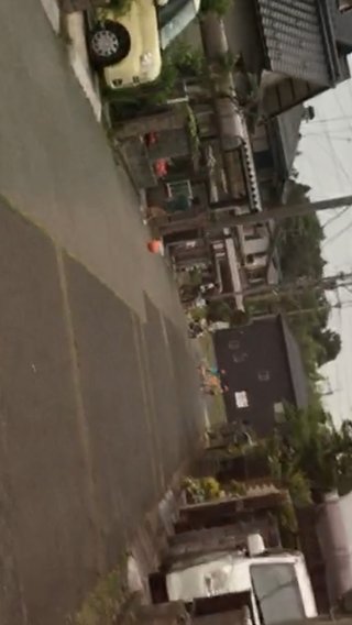 道路族が嫌いな人