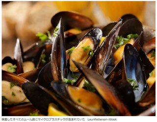 「魚や貝を通じてプラスチックを食べている」という研究結果が明らかに