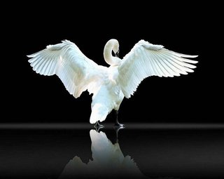 あなたの願いを叶えます☆*