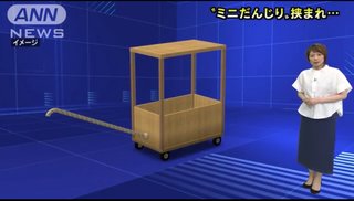 手作り「ミニだんじり」横転　9歳男児挟まれ死亡