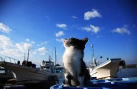 松居一代  IDアリ 多少のトピずれ・自分語りOK・人生いろいろ