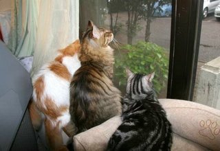 松居一代  IDアリ 多少のトピずれ・自分語りOK・人生いろいろ