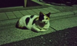 松居一代  IDアリ 多少のトピずれ・自分語りOK・人生いろいろ