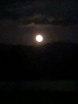 火星見た？今が見頃です