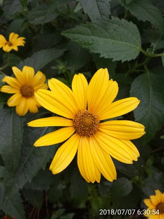 松居一代  IDアリ 多少のトピずれ・自分語りOK・人生いろいろ