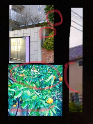 娘kokiもやらかした、実家写真を