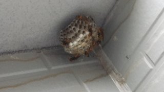 松居一代  IDアリ 多少のトピずれ・自分語りOK・人生いろいろ