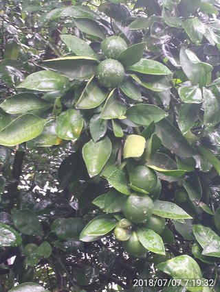 松居一代  IDアリ 多少のトピずれ・自分語りOK・人生いろいろ