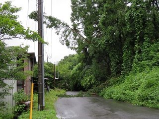 松居一代  IDアリ 多少のトピずれ・自分語りOK・人生いろいろ