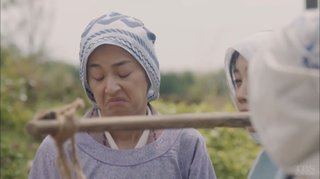 【この世界の片隅に】今夏に連続ＴＶドラマ化