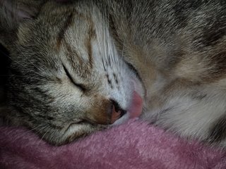 松居一代  IDアリ 多少のトピずれ・自分語りOK・人生いろいろ