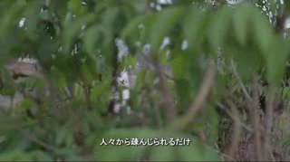 女性器切除の国がまだある。