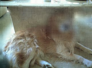 松居一代  IDアリ 多少のトピずれ・自分語りOK・人生いろいろ