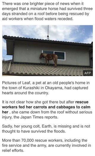 安倍首相は災害対応せず私邸でのんびり