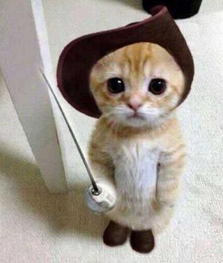 世界の果てまでｲｯﾃＱ