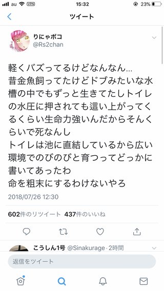 【悲報】りにゃポコさん、祭りですくった金魚をトイレに流す