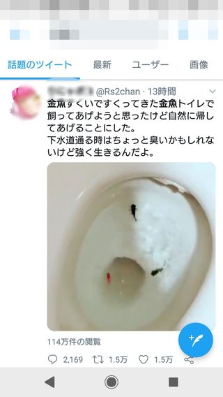 金魚をトイレに流して「自然に帰してあげる」　SNSに動画投稿し非難殺到

