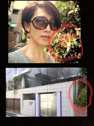 娘kokiもやらかした、実家写真を
