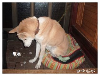 松居一代  IDアリ 多少のトピずれ・自分語りOK・人生いろいろ