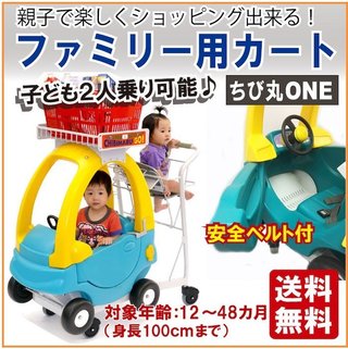 子連れで買い物は大変…　画期的な2人乗りカートが話題に　「助かる」「全国展開を」の声も　