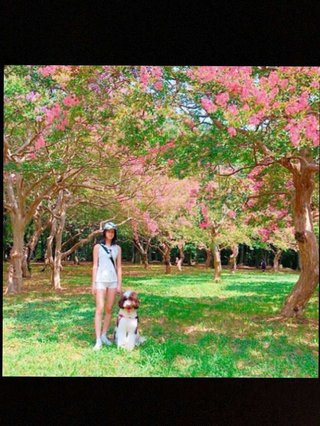 koki、実際は短足で顔が大きかった