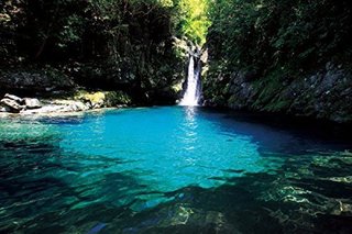 四国に行く目的を見つけれる人って凄いと思う