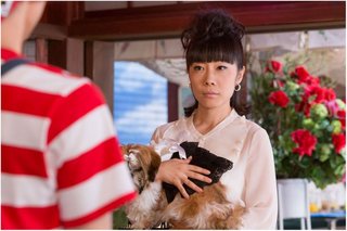  【ネタバレ】朝ドラ「半分、青い。」　