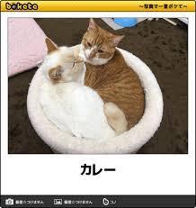 ボケて（bokete）見てる人！