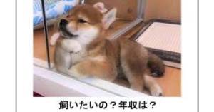 ボケて（bokete）見てる人！