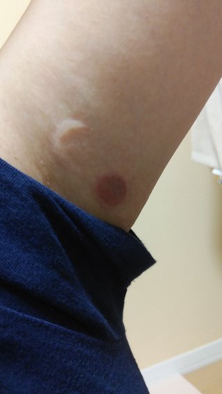 これは何だと思いますか？